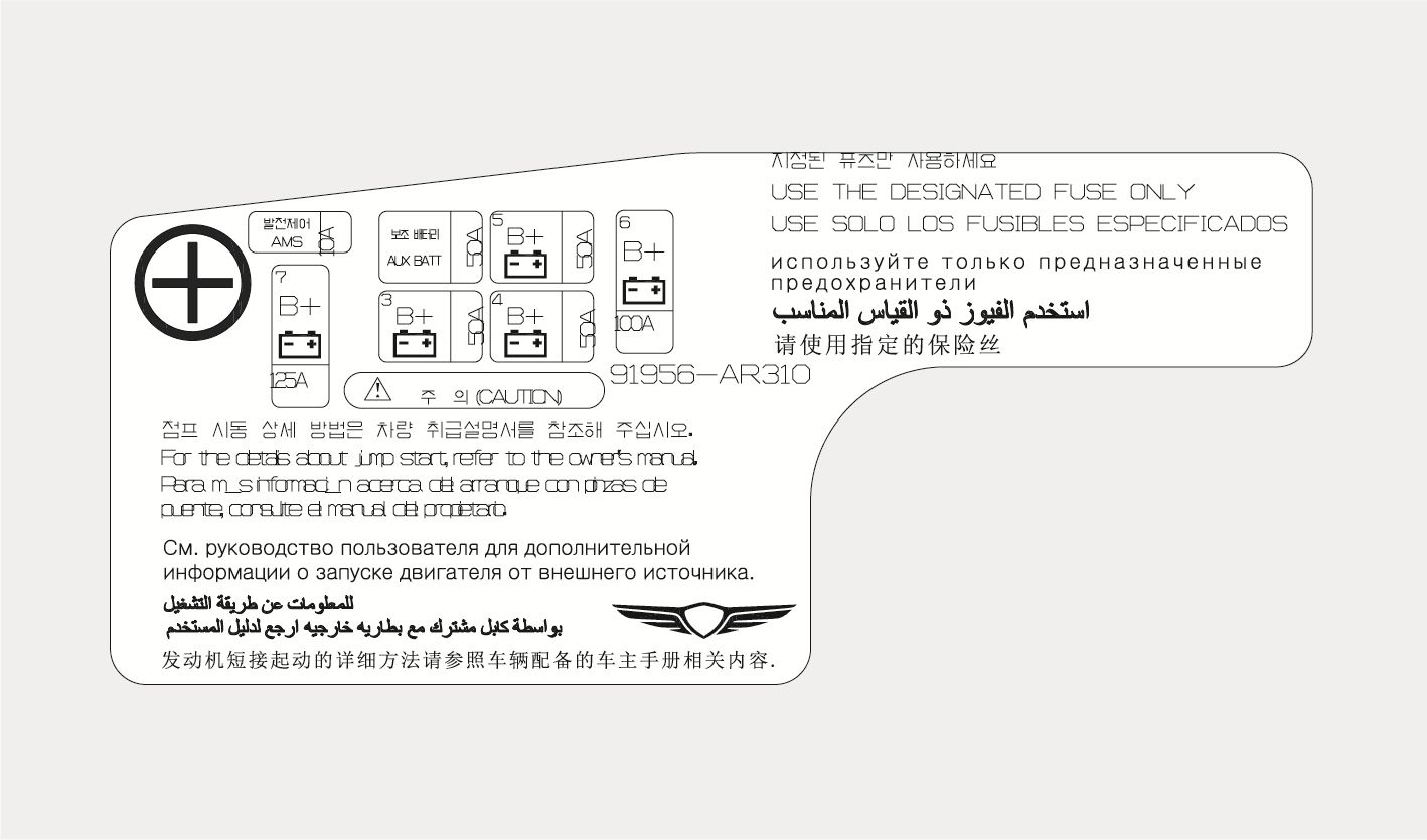 2025 Genesis GV70 battery fuse label image. The diagram displays the fuse layout on the positive battery terminal, identifying fuses for AMS (10A), AUX BATT (50A), and main circuits rated 125A, 50A, and 100A. It includes the part number 91956-AR310 and multilingual warnings regarding designated fuses and jump start instructions. Explains the ratings and locations of the battery terminal fuses.