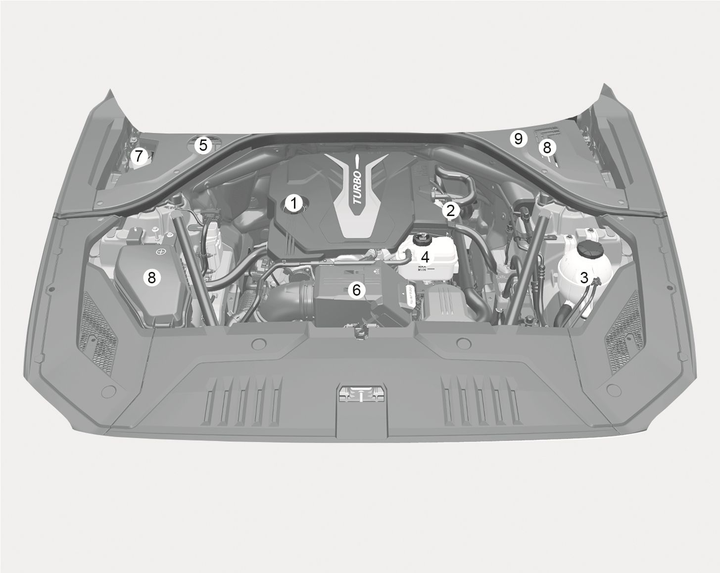 Engine compartment