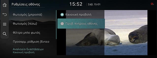 RS4_AVNT_gre_182-1_220123.jpg